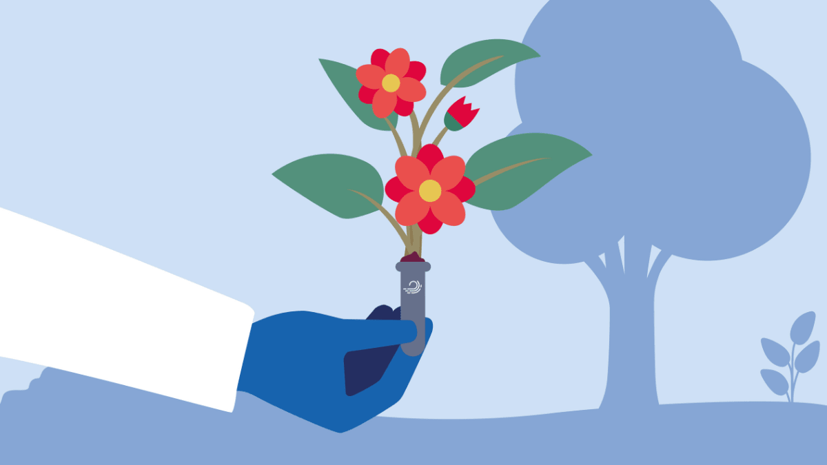 QIAwave, Seedcard, flower, tube, glove, hand