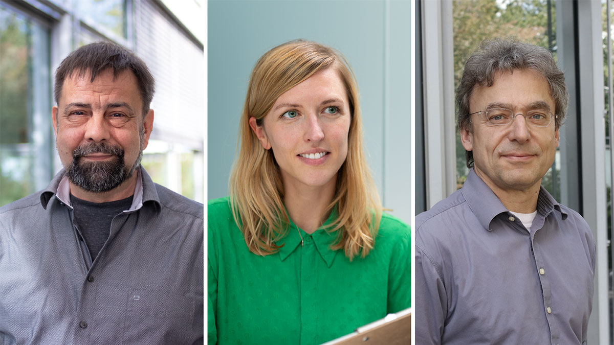 Nucleic acids from liquid biopsy or FFPE samples – QIAGEN scientists share their technology expertise