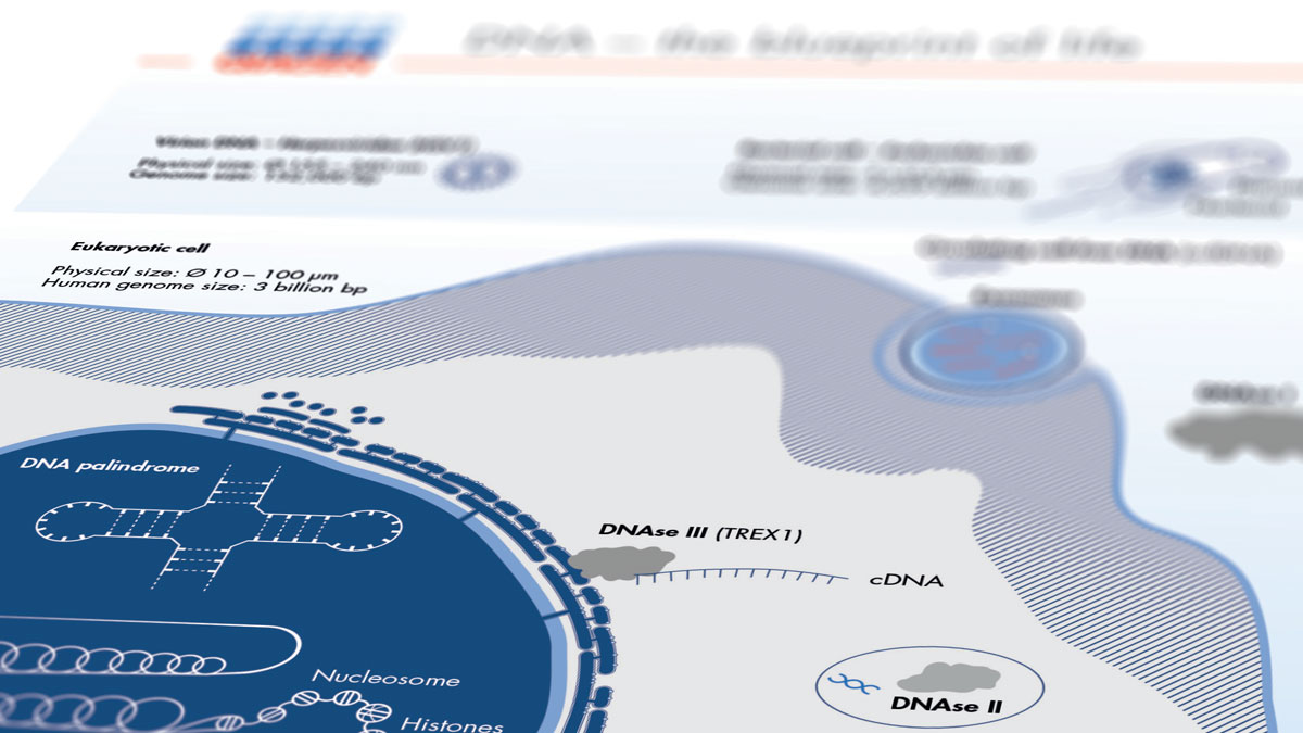 DNA resource center - Poster