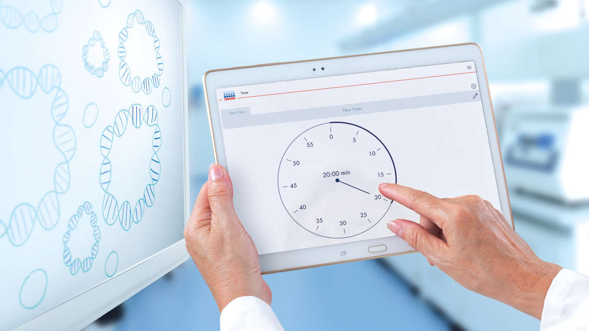 Plasmid DNA Preparation Services