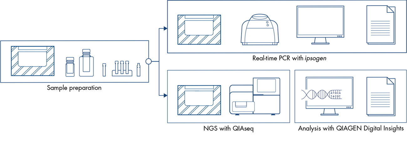 Oncohematology applications