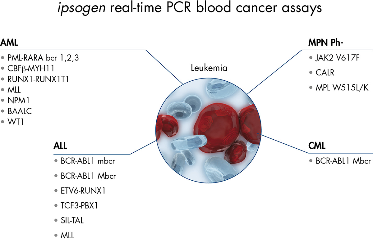 ipsogen real-time PCR blood cancer assays