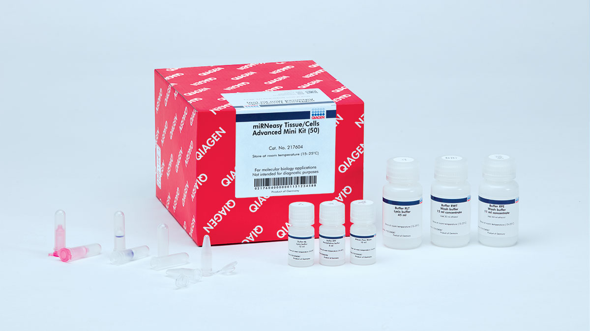 miRNeasy Tissue/Cells Advanced Mini Kit