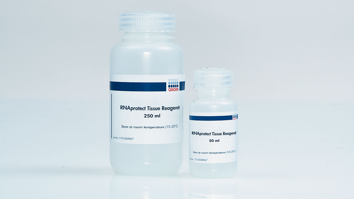 RNAprotect Tissue Reagent