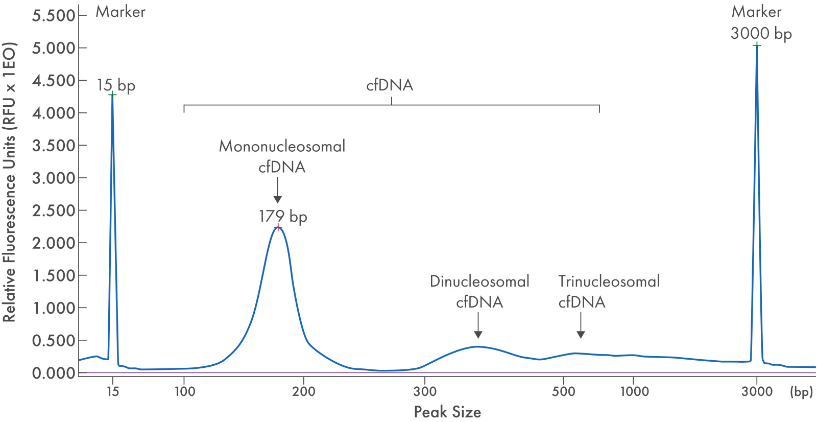 electropherogram result