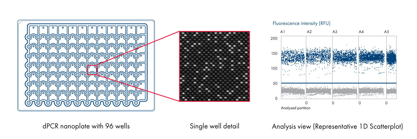Unveiling the magic inside
