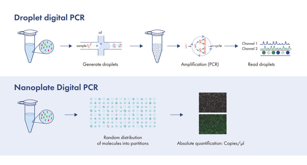 dPCR_workflow_comparison