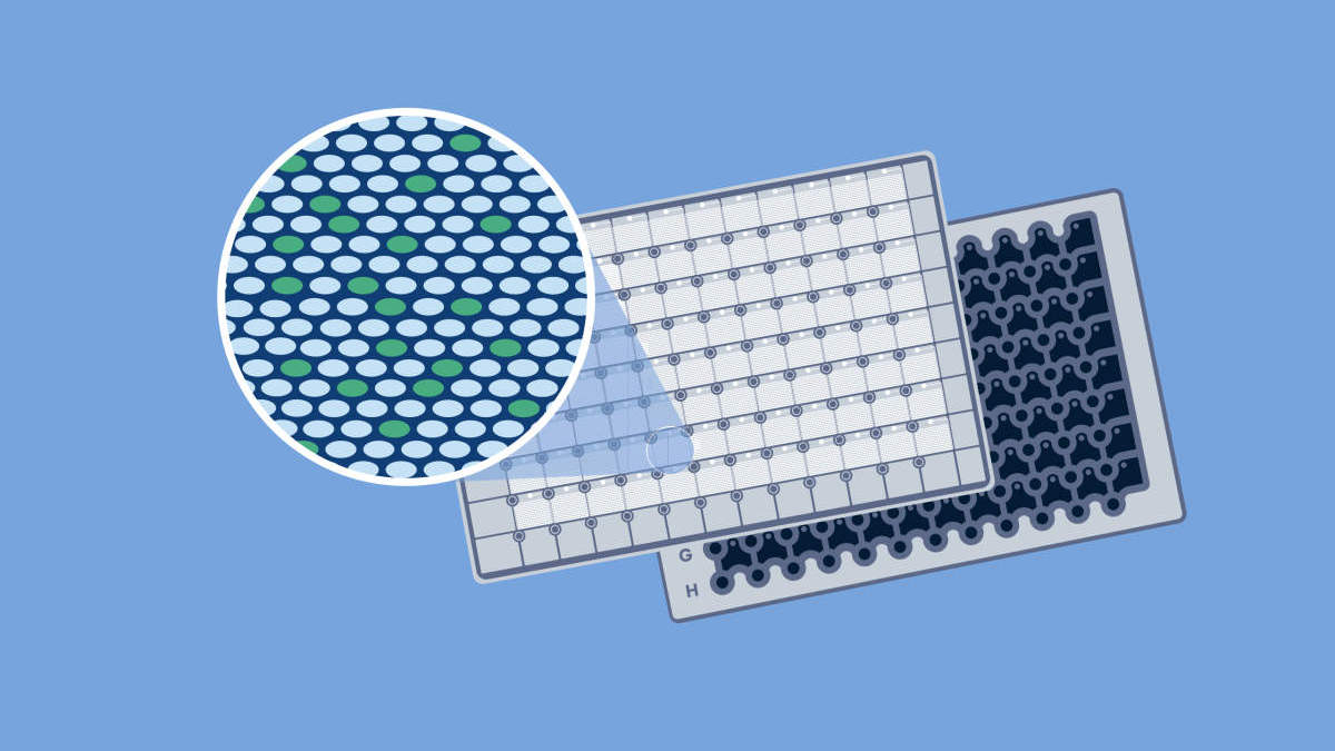 ILLU_2344_LS_dPCR_Nanoplate_teaser