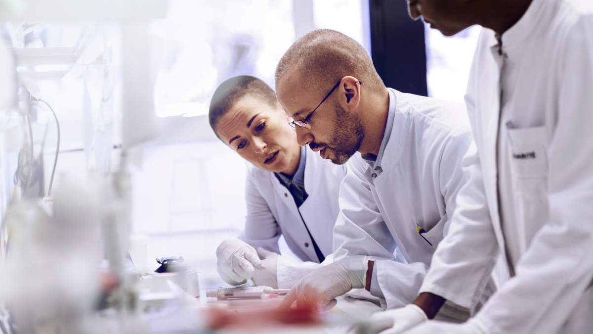 Optimizing primer design and probe design for digital PCR assays