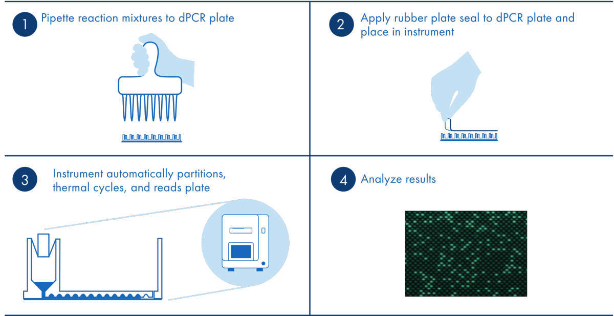 A representation of the nanoplate dPCR workflow