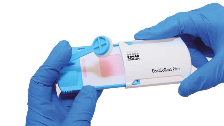Easi Collect Plus Qiagen