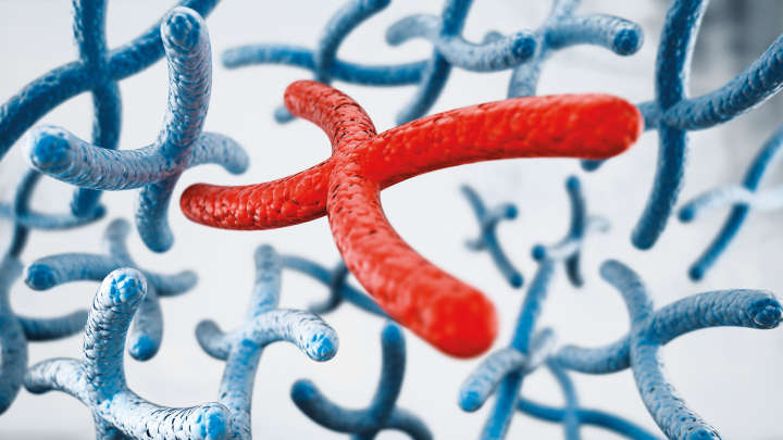 3d model of chromosomes