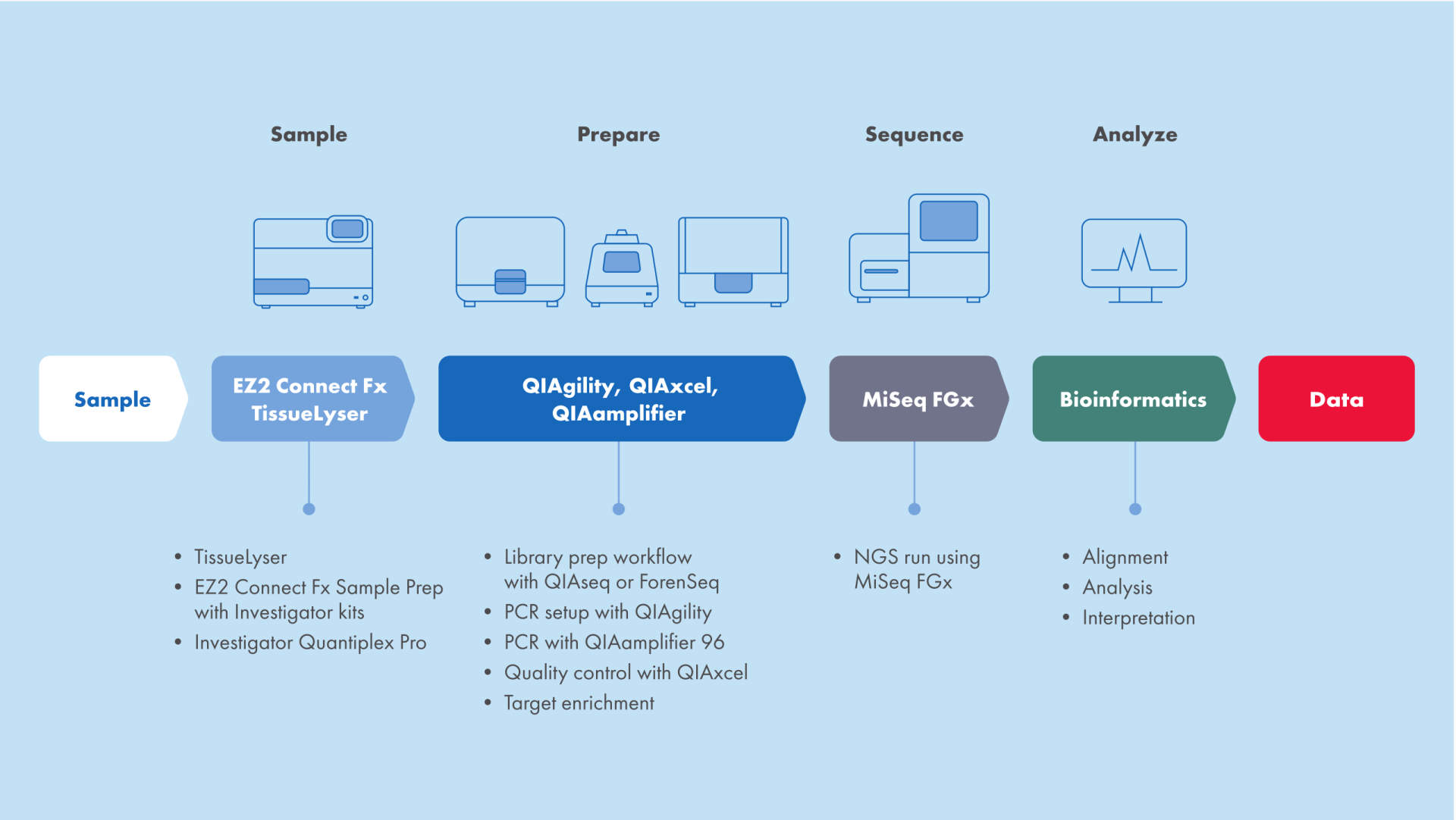 QIAGEN workflow illustration