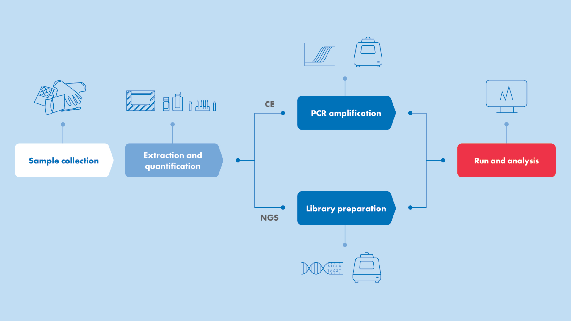 QIAGEN workflow illustration