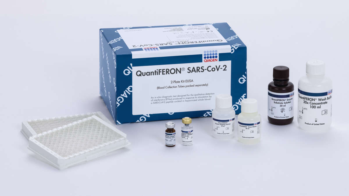 SARS-CoV-2 immune response