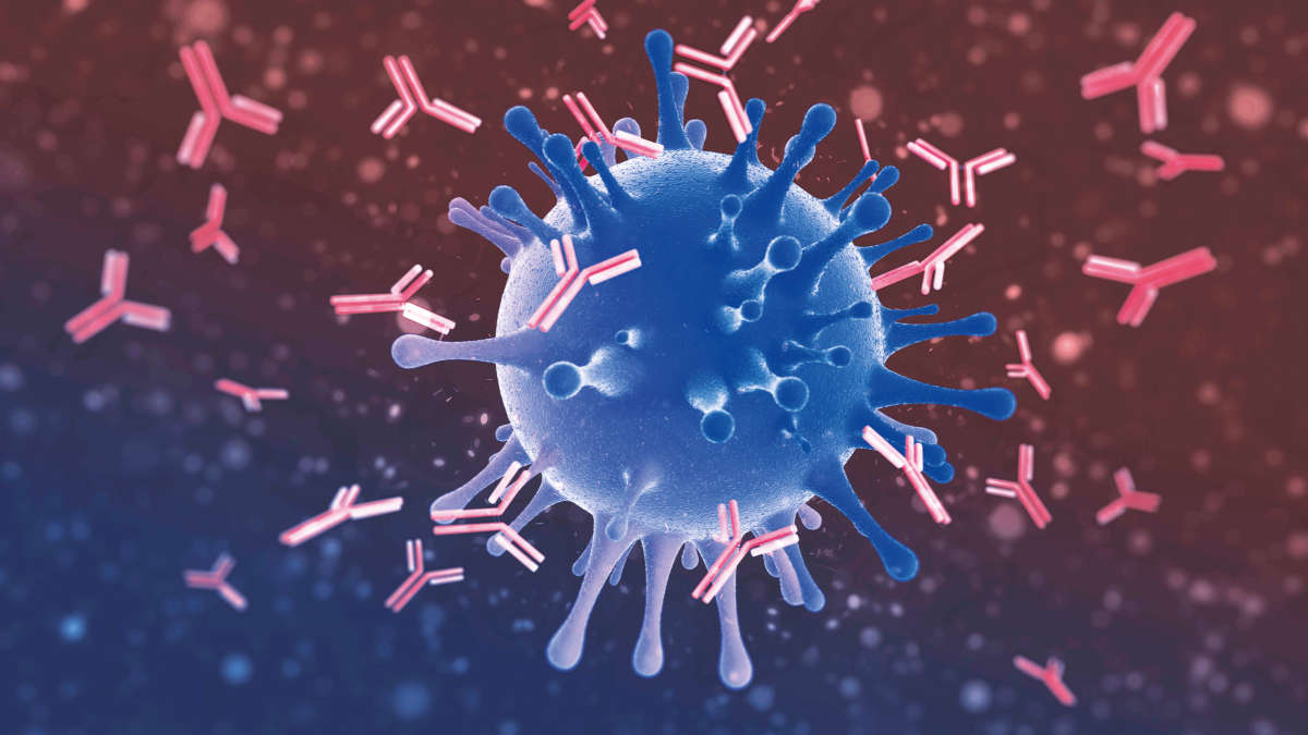 Corona virus, COVID-19, virus with antibodies