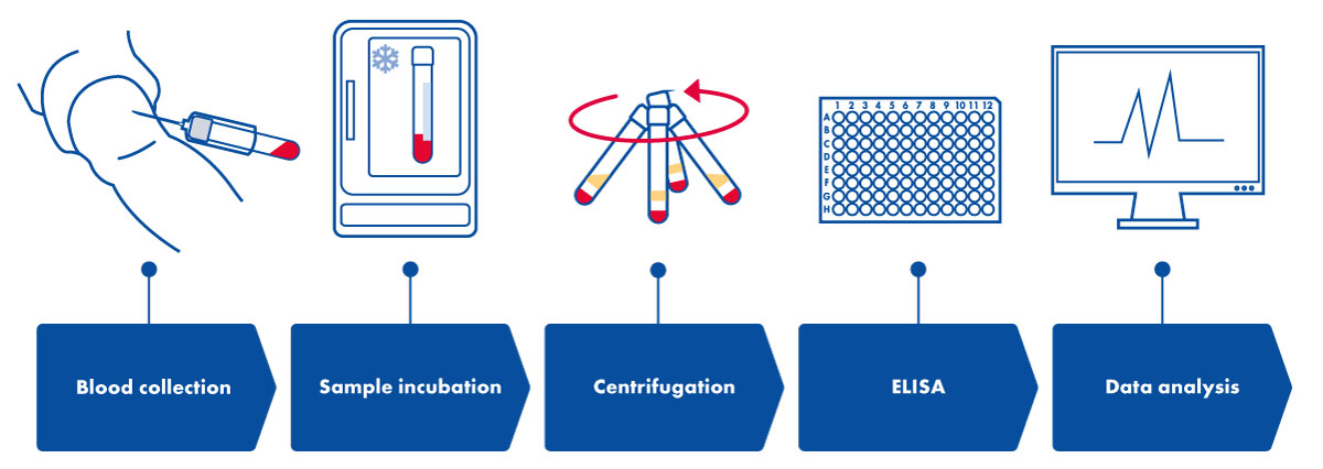 QuantiFERON Transplantation Workflow