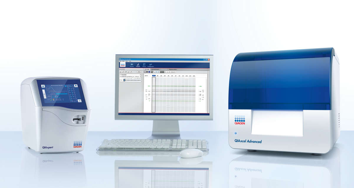 QIAxpert and QIAxcel advanced
