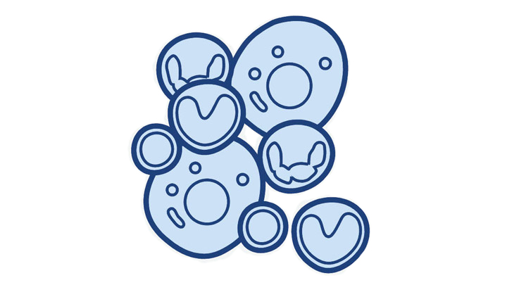 Multianalyte Liquid biopsy