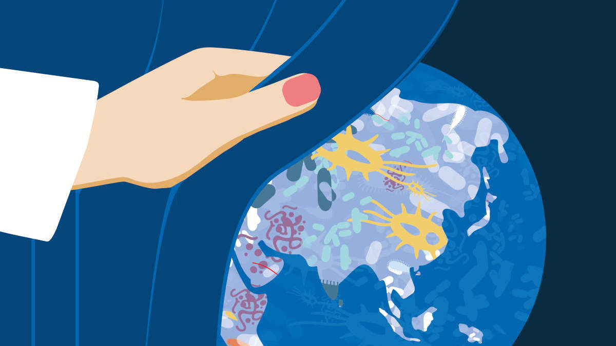 Interactions within and among microbiomes are complex, which is why researchers divide these systems into categories.