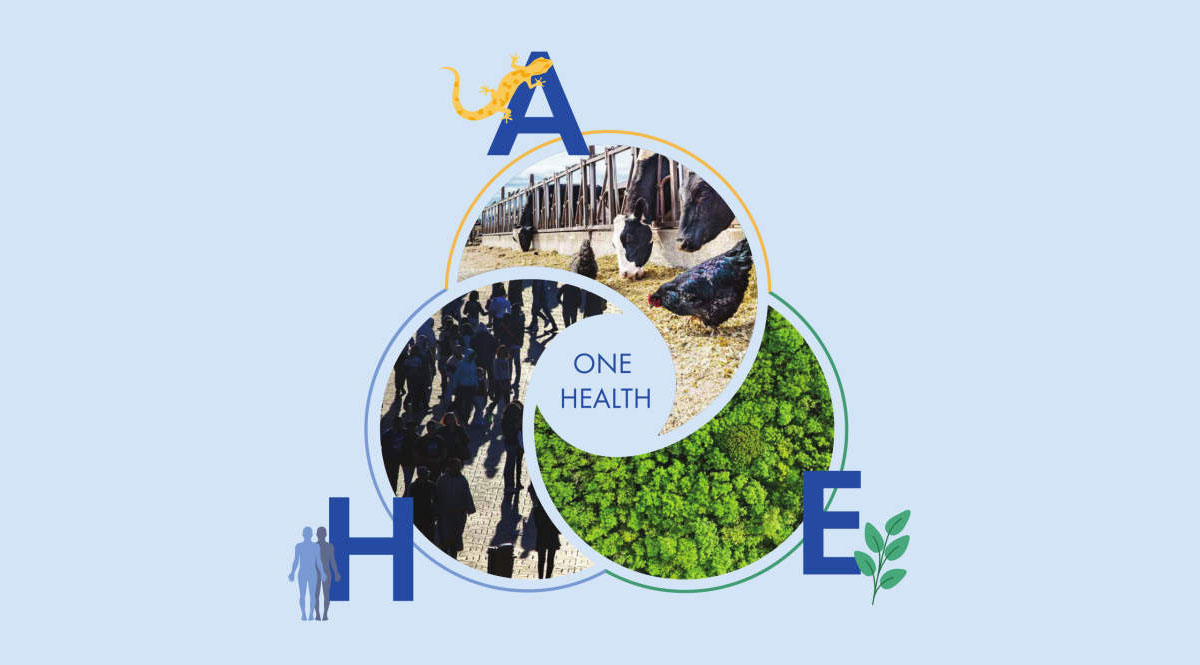 With more than $1.2 billion in annual research expenditure, Penn State University is among the premier public research schools in the USA, with scientists studying everything from Neanderthal teeth to bacteria in mosquitoes. And the One Health Microbiome Center is a research community that connects all disciplines within the microbiome.