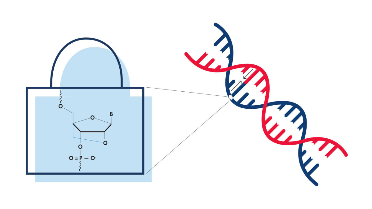 Analyze miRNA sequencing data anytime, anywhere