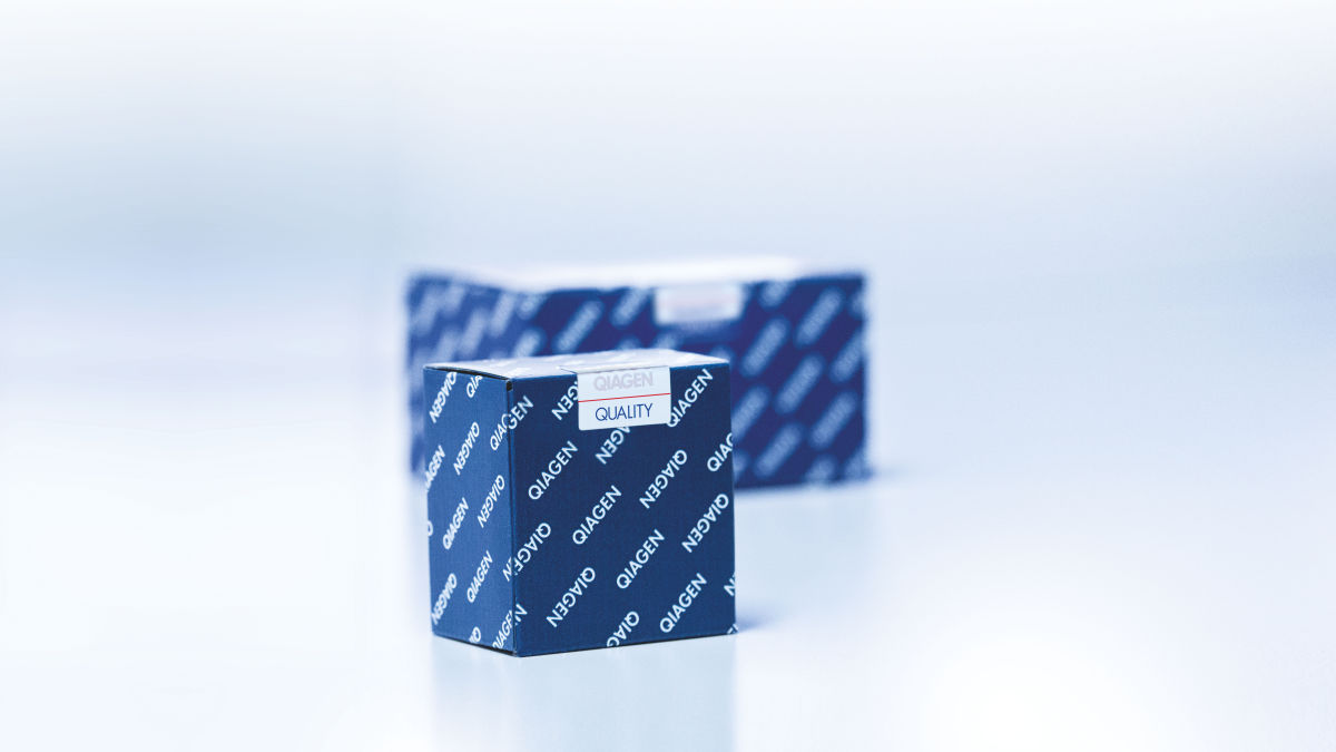 miRNA quantification LNA probe-based qPCR