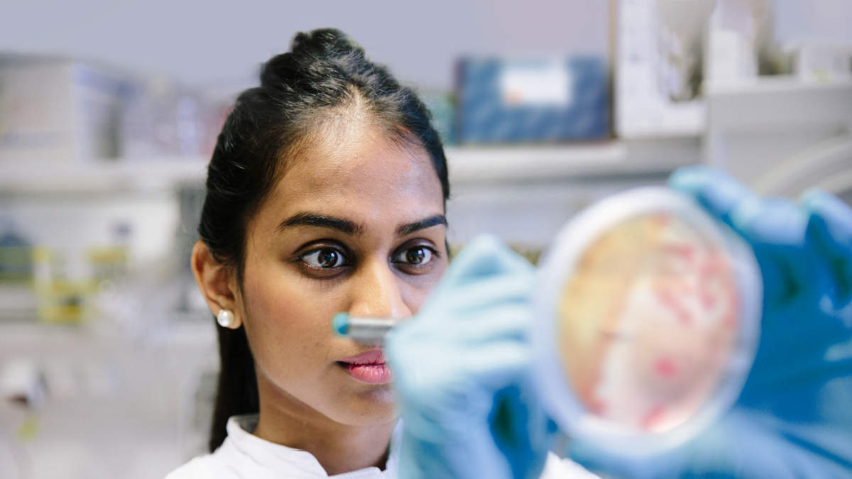 Female Scientist writing on Petri dish, Main Visual Asm 2019, Microbiome, Bioinformatics, AMR