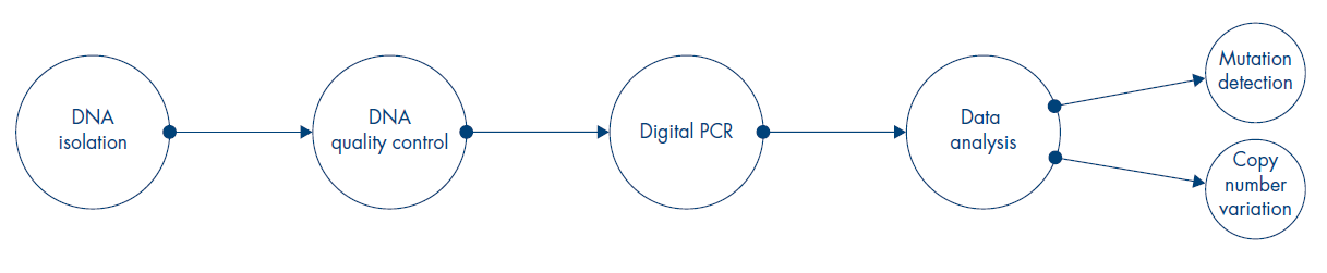 digital pcr workflow