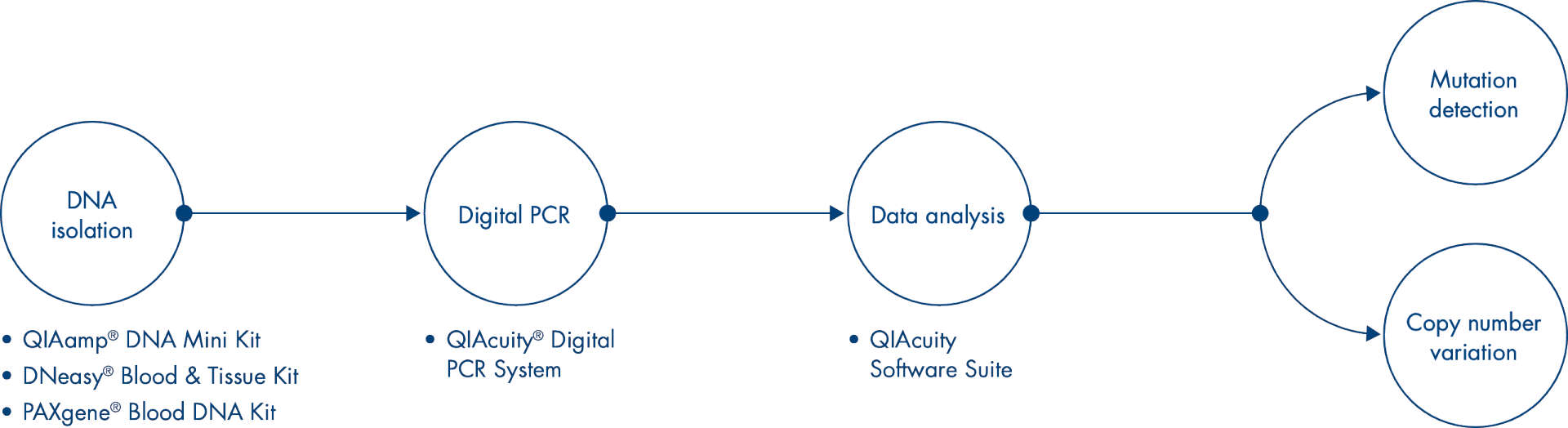QIAGEN workflow illustration