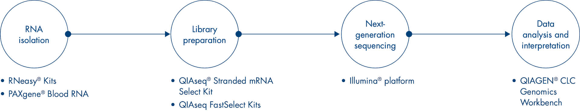 workflow infographic