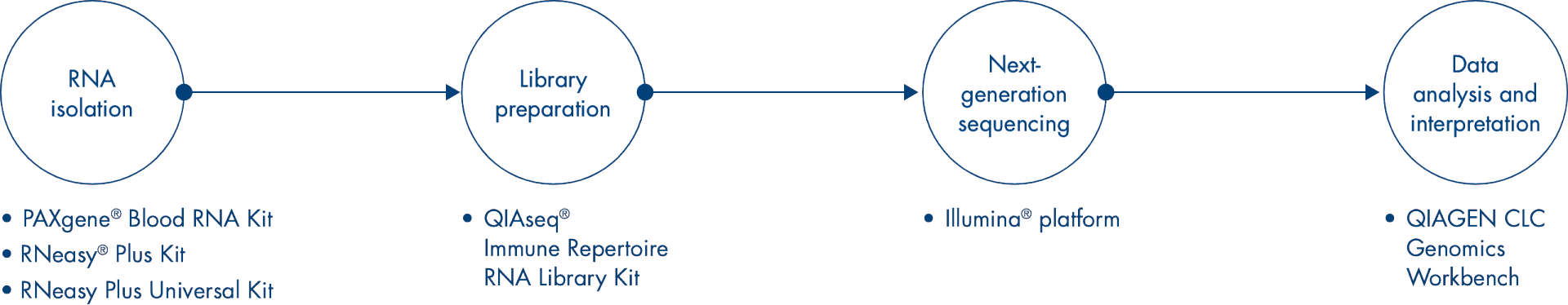 workflow infographic
