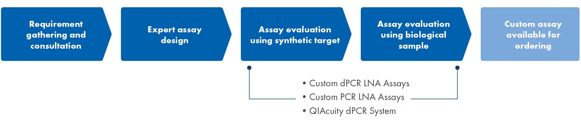 expert assay workflow illustration