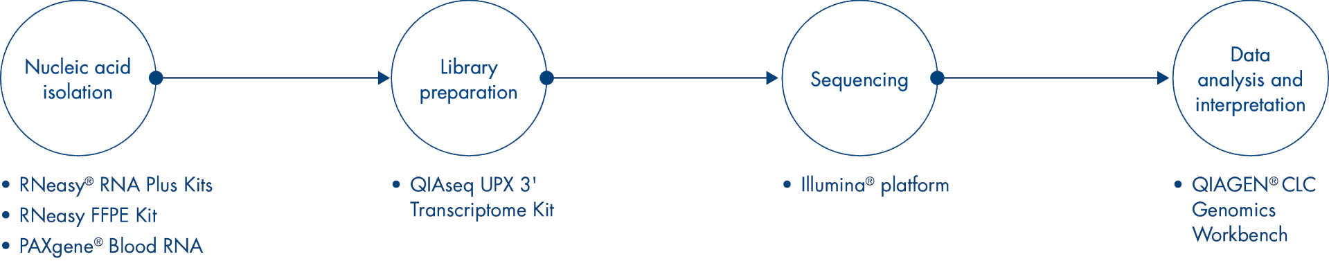 workflow illustration
