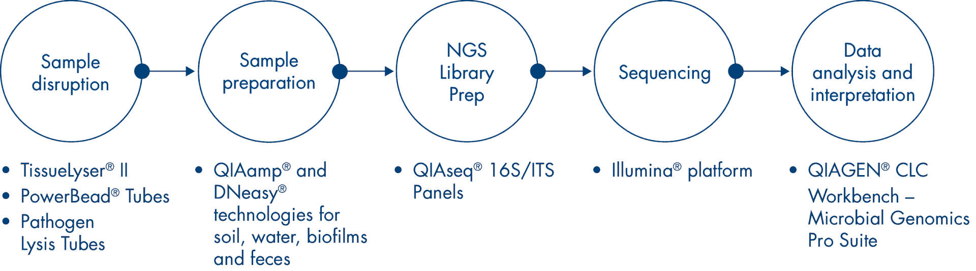 workflow illustration