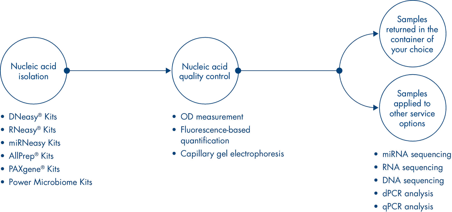 workflow illustration
