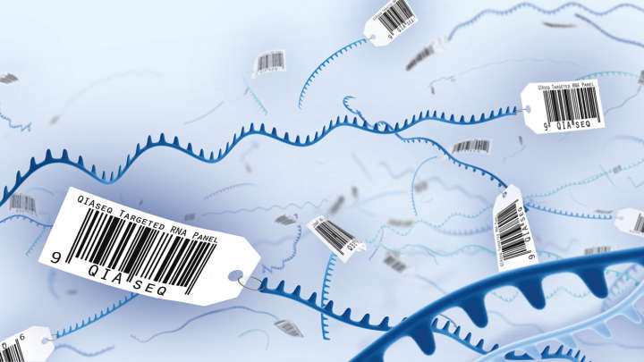 QIAseq Targeted RNA