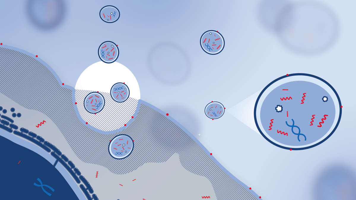 QIAseq miRNA Library Kits