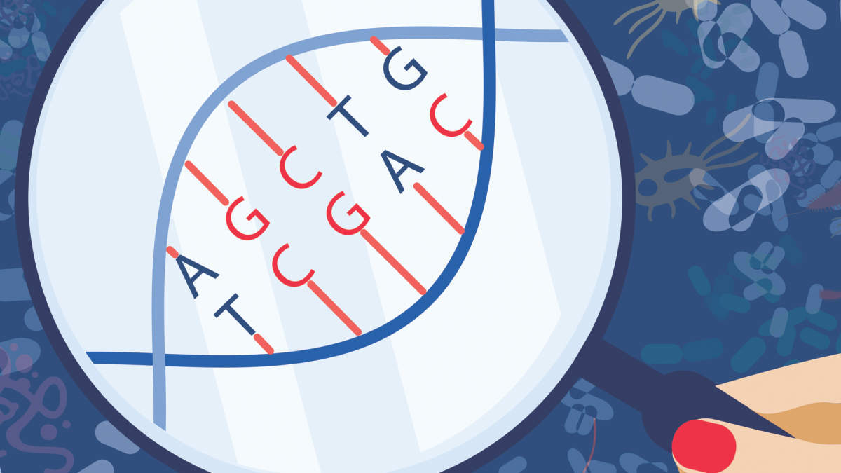 microbiome main illustration