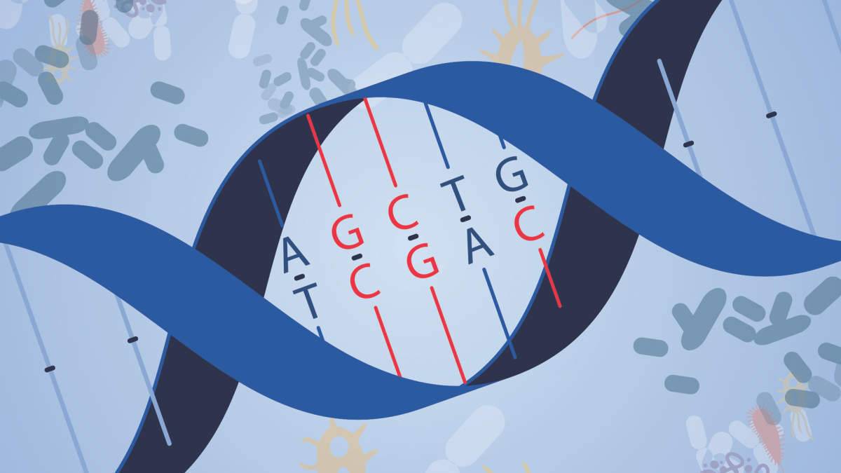 Microbiome illustration