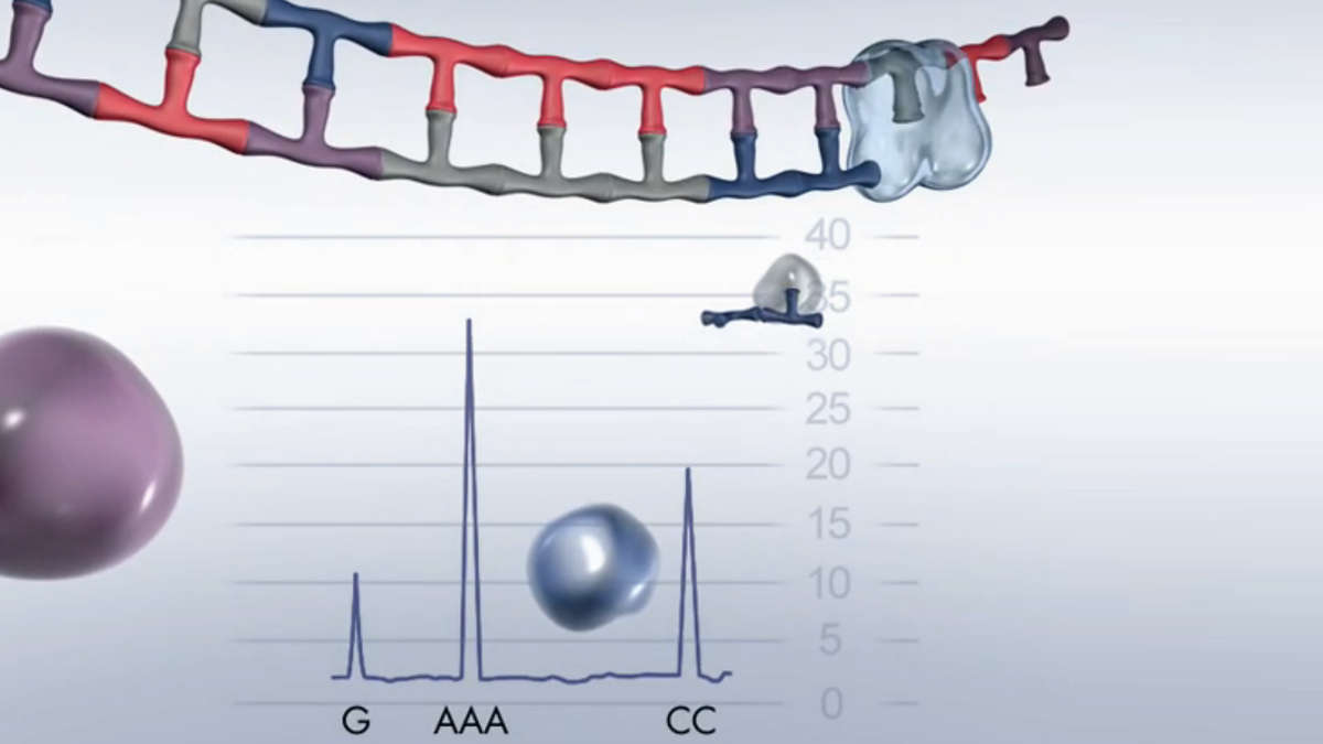 Pyrosequencing