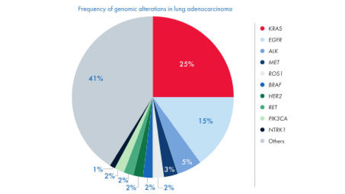 Key NSCLC biomarkers