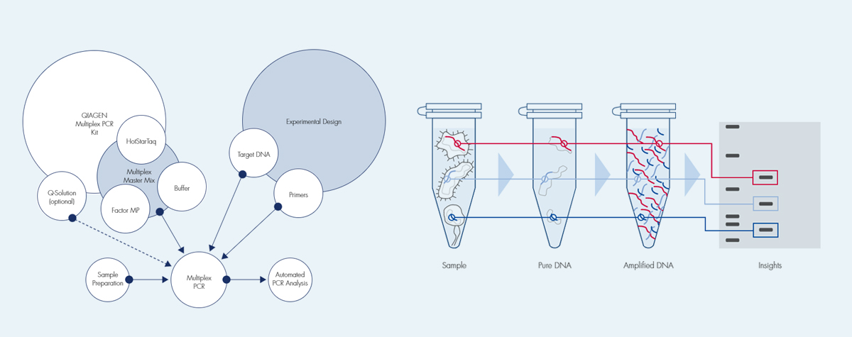 Advance your multiplex expertise, infographic