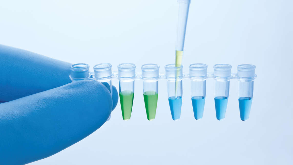 Samples, One protocol, any target