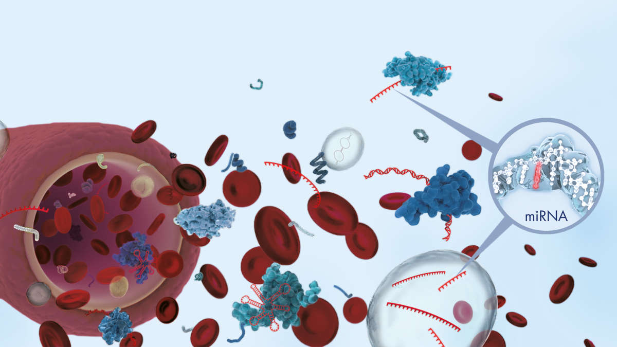 Analyze any miRNA biomarker with ease