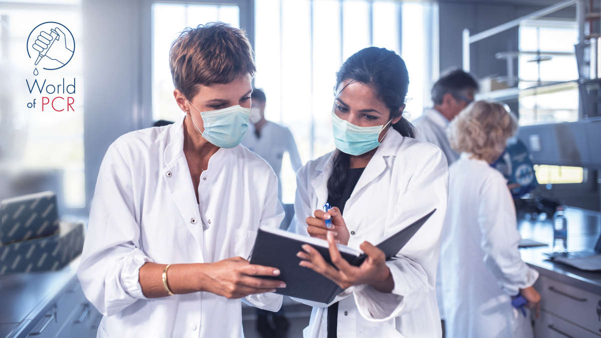 Quantify low-abundance miRNAs without preamplification