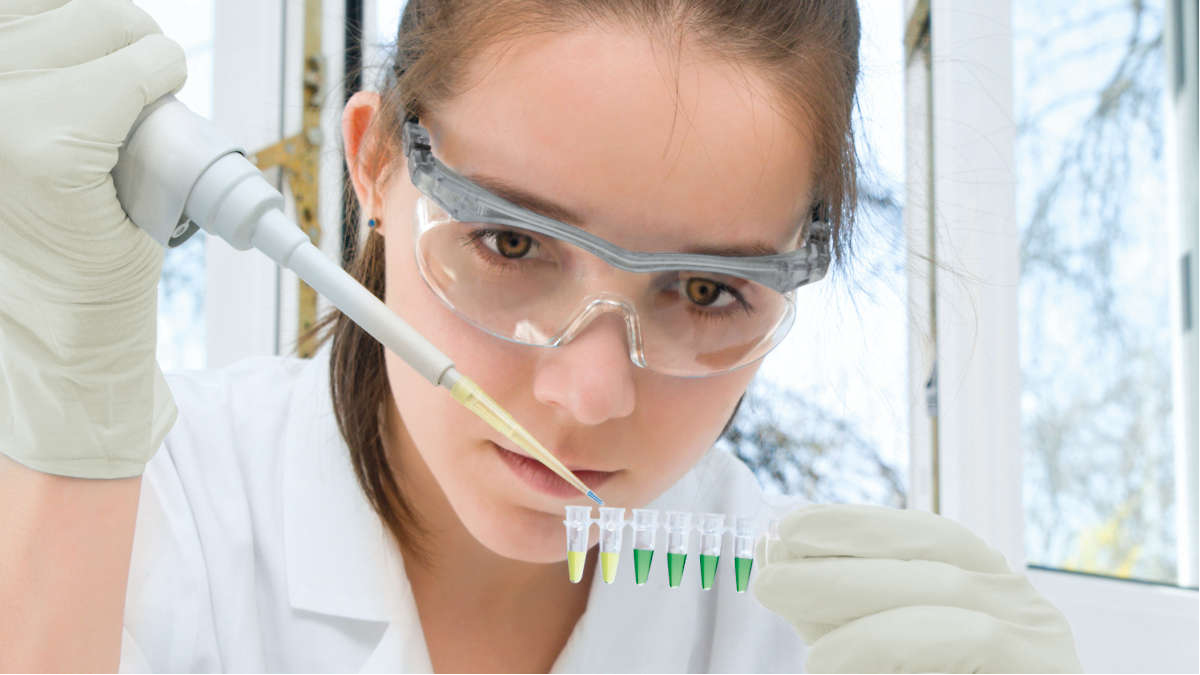 End-point PCR, female scientist examines a sample