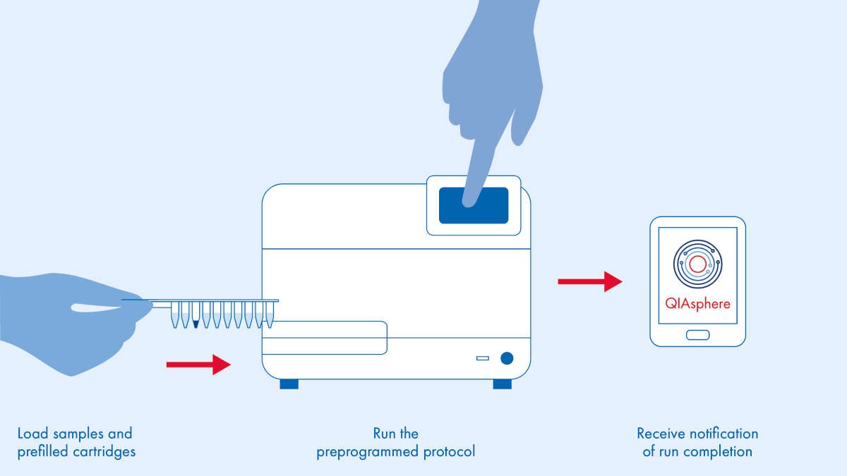 Three simple steps to isolate DNA and RNA