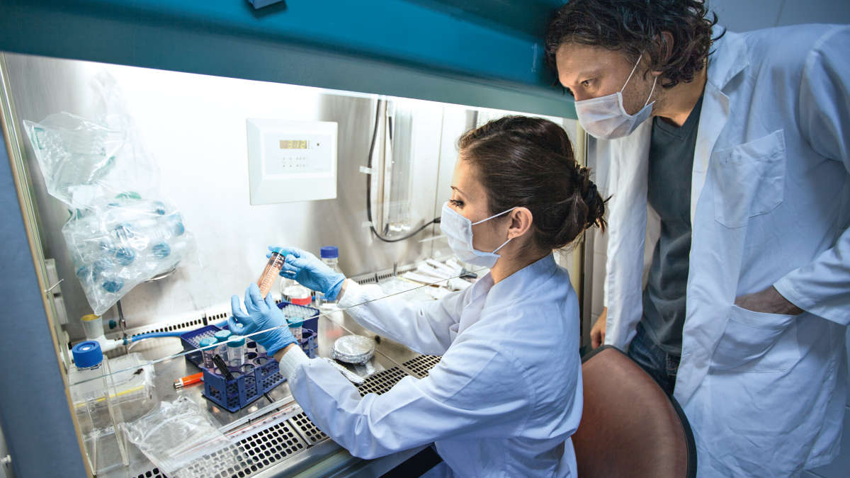 Infectious disease, ID, virus infection, sterile bench, mask, protection, two lab workers, coronavirus, COVID-19 testing