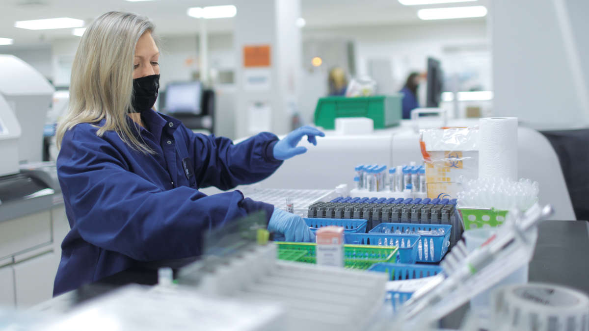 Tuberculosis, Fighting TB